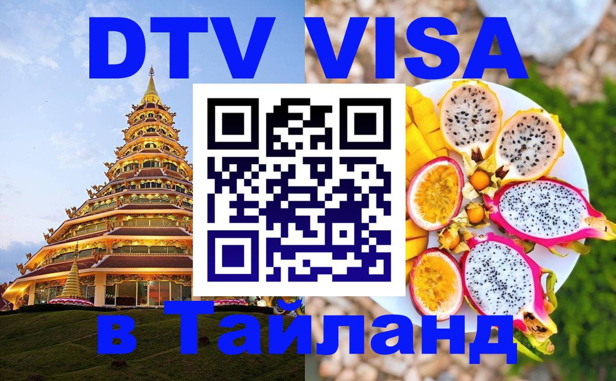 Оформление DTV визы под ключ: стоимость и тарифы, только загранпаспорт - 